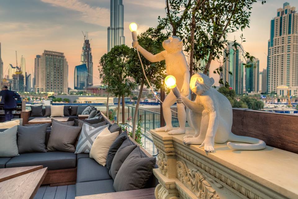 صور افتتاح استراحة منزل الشجرة في دبي