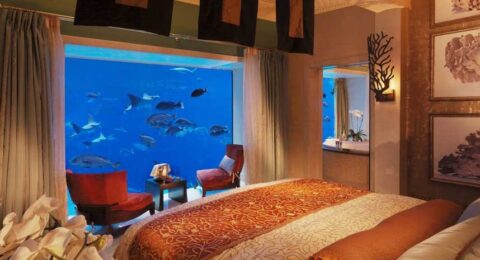 صور افضل الفنادق تحت الماء في العالم