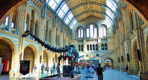 متحف التاريخ الطبيعي في لندن 2016