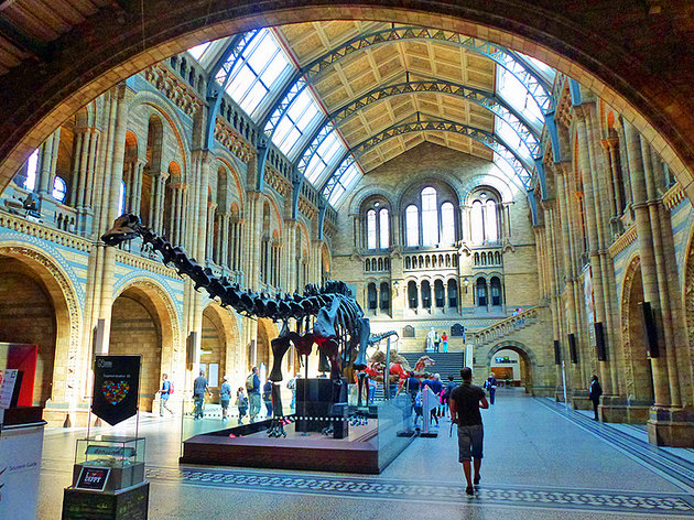 متحف التاريخ الطبيعي في لندن 2016 