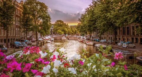 أجمل المدن الهولندية التي يمكنك زيارتها