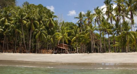 أفضل الجزر في بنما .. أحد أسعد البلدان على كوكب الأرض