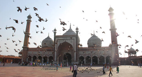 دليلك لزيارة مدينة دلهي: عليك زيارة هذه الأماكن لتستمتع برحلة لا تُنسى في الهند!