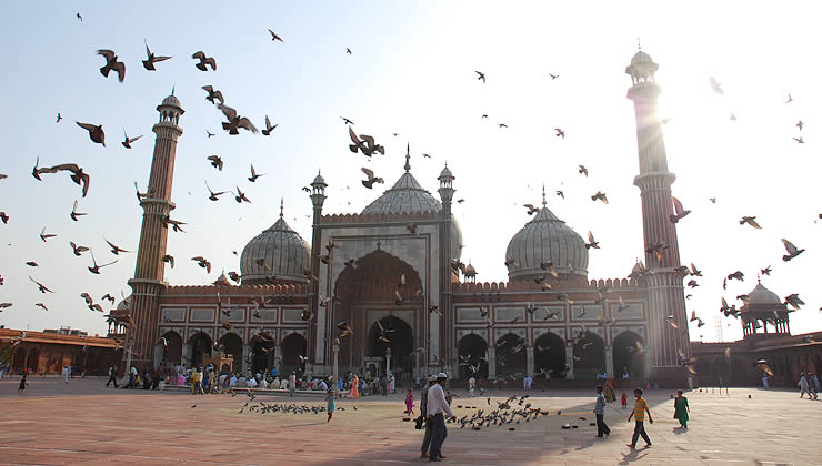 دليلك لزيارة مدينة دلهي: عليك زيارة هذه الأماكن لتستمتع برحلة لا تُنسى في الهند! 