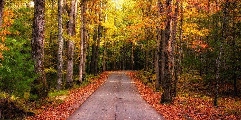 بالصور ..10 حدائق عالمية تستحق أن تزورها في فصل الخريف لتستمتع بسحر ألوانها 