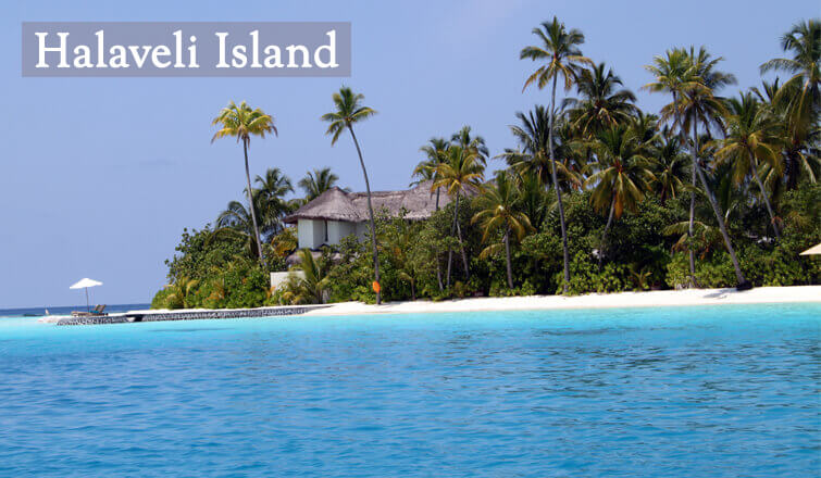أفضل الأماكن السياحية في جزر المالديف 