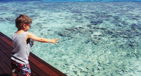 دليل السفر إلى جزر المالديف مع الأطفال