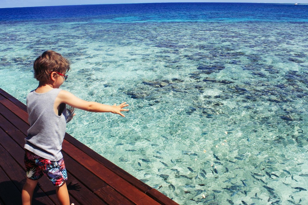 دليل السفر إلى جزر المالديف مع الأطفال 