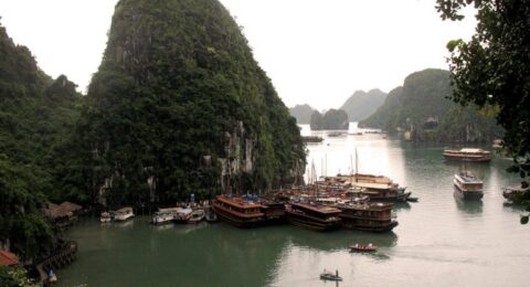 السياحة في خليج ها لونج فيتنام وأفضل الأنشطة والأماكن الموصى بها للزيارة