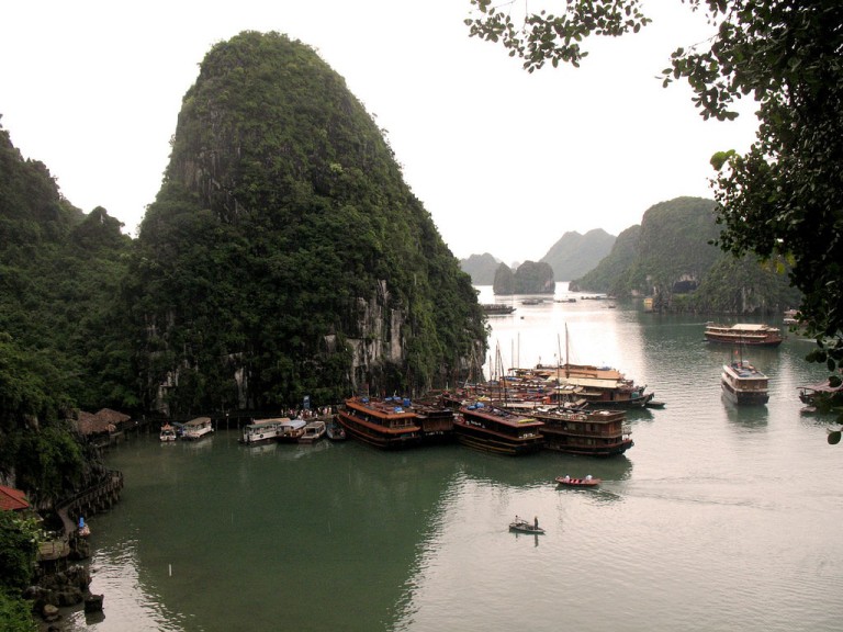 السياحة في خليج ها لونج فيتنام وأفضل الأنشطة والأماكن الموصى بها للزيارة 