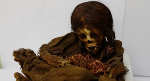 أمريكا تعيد مومياء طفلة الإنكا البالغة من العمر 500 عام إلى بوليفيا