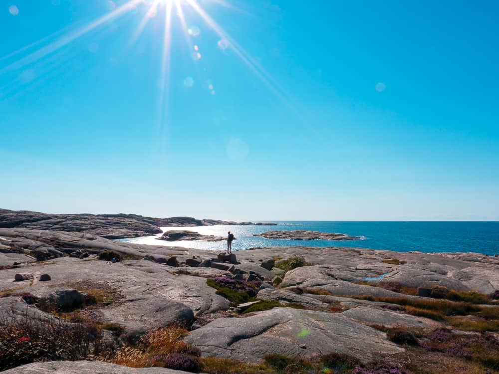 5 أسباب تجعل السويد هي الخيار الأول لمحبي الطبيعة من محدودي الميزانية 