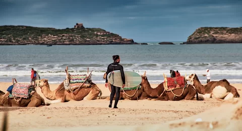 معلومات قبل زيارة شاطئ الصويرة في المغرب