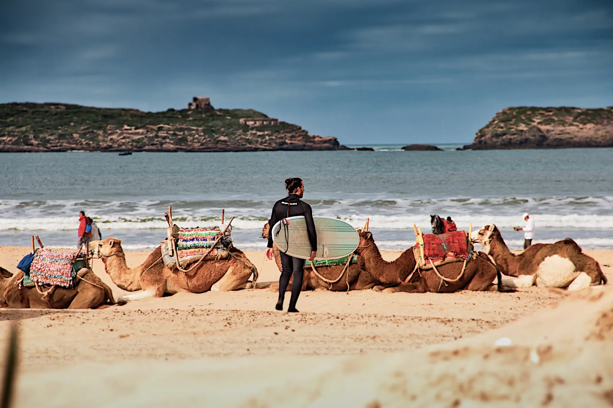 معلومات قبل زيارة شاطئ الصويرة في المغرب 