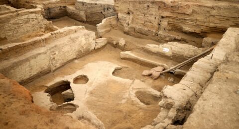 اكتشاف أقدم خبز في العالم في مستوطنة تشاتالهويوك التركية