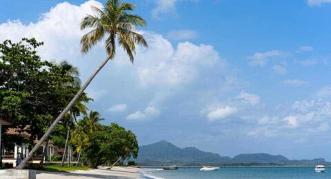 دليل السياحة في جزيرة كوه موك.. أحد أجمل جزر تايلاند